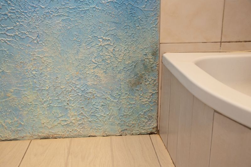 Attic Water Damage Repair in Houston, TX